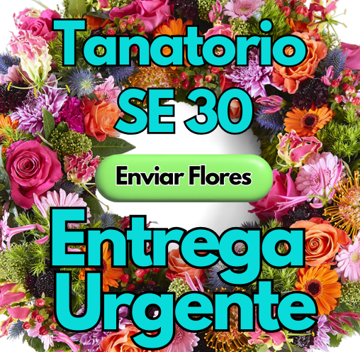 ENVIO DE CORONAS URGENTES AL TANATORIO SE30